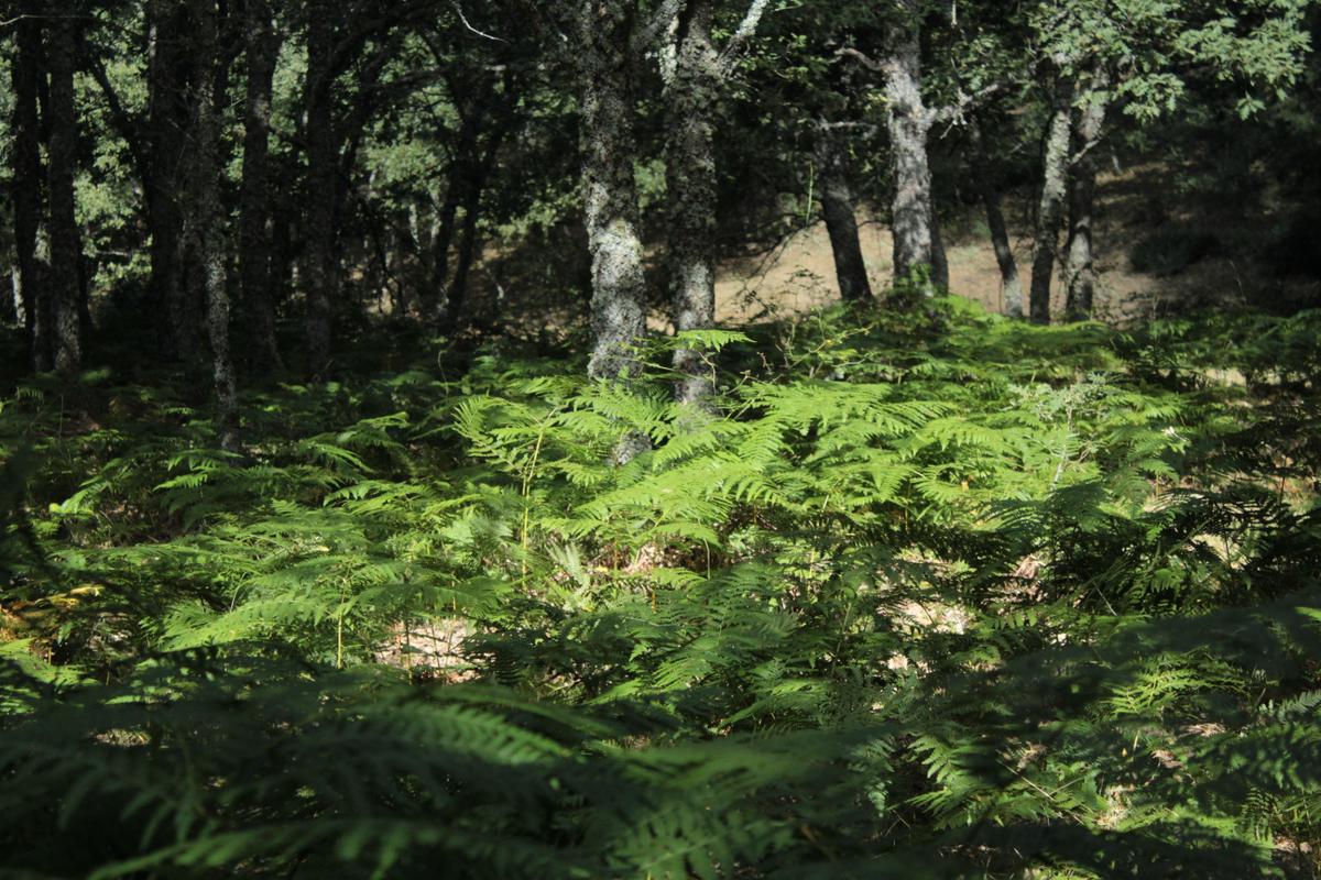 Excursion_al_chorro_18