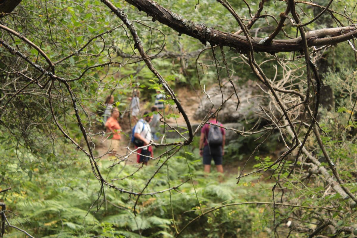 Excursion_al_chorro_5