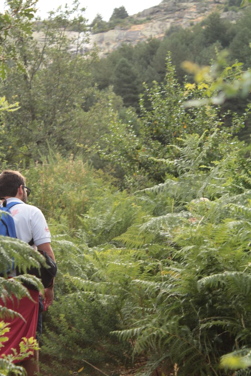 Excursion_al_chorro_6