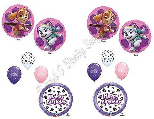 PAW PATROL SKYE & EVEREST 10 PC. Birthday Balloons Decoration Supplies Party Chase Ryder