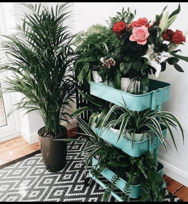 carro-de-cocina-raskog-de-ikea-como-jardinera