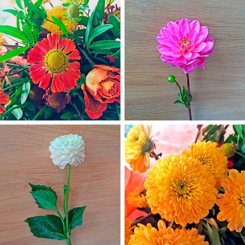 floral-composition-B