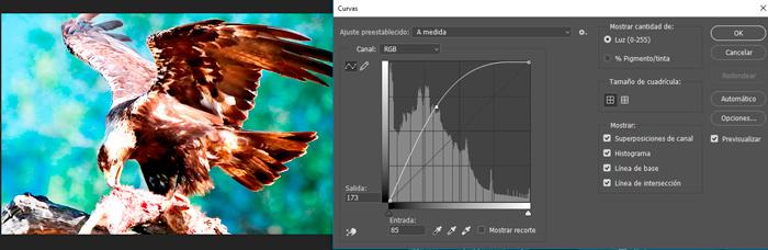como usar curvas photoshop