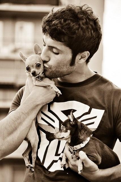 hombre y su chihuahuas