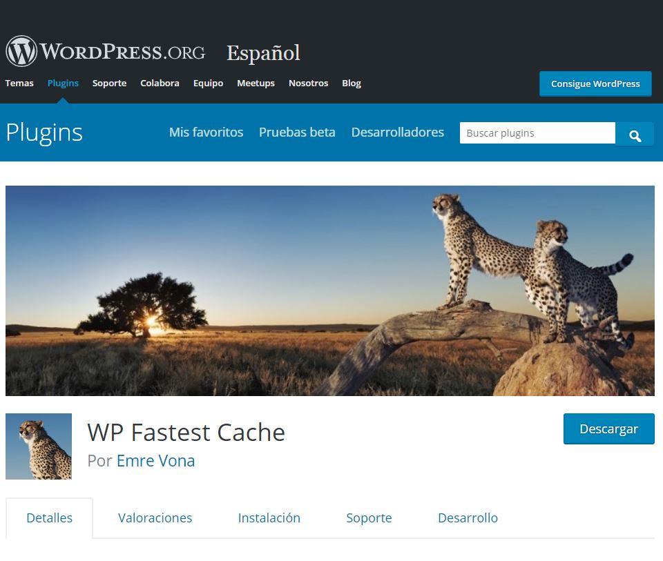 Añade algunos plugins esenciales de WordPress