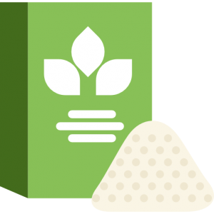 germen de trigo para la memoria