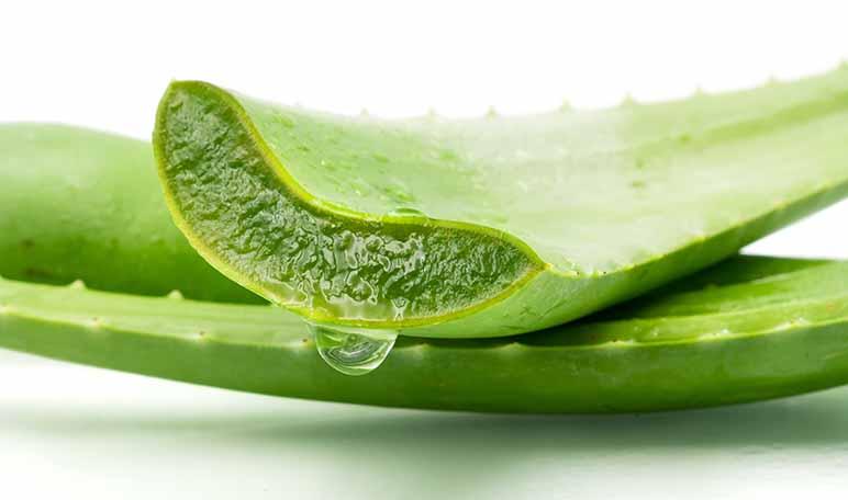 Aloe vera para el pelo seco - Trucos de belleza caseros