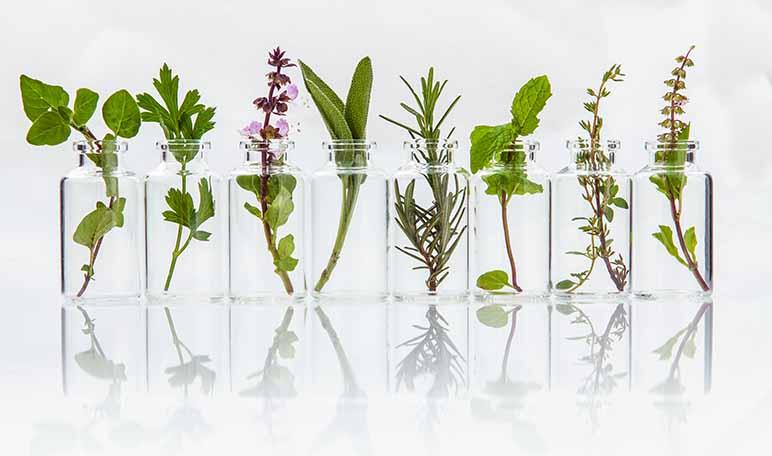 Cómo quitar los hongos de las uñas con remedios caseros - Trucos de belleza caseros