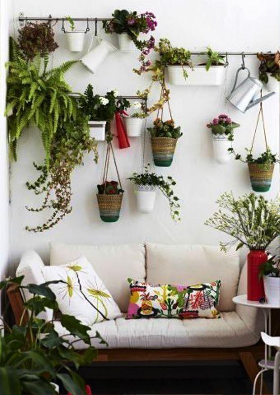 estantes de plantas