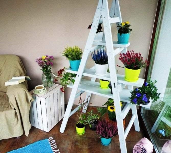 estantes de plantas