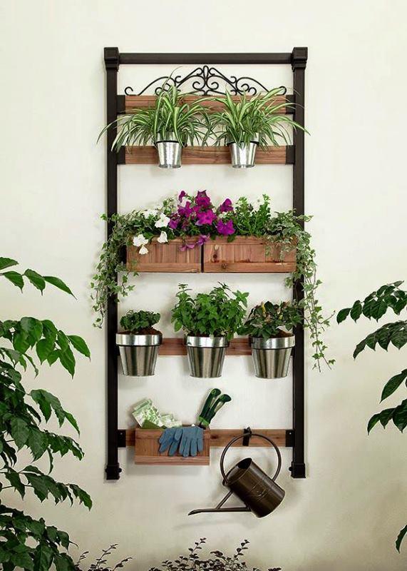 estantes de plantas