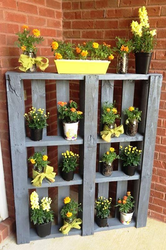 estantes de plantas