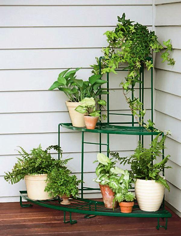 estantes de plantas