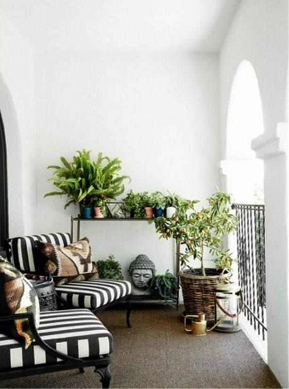 estantes de plantas