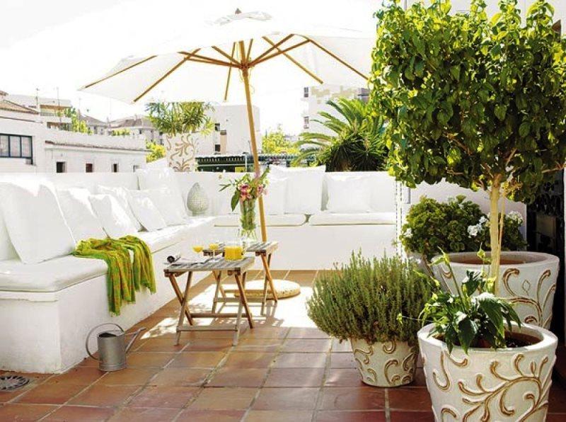 macetas con plantas para terrazas