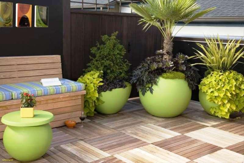macetas con plantas para terrazas