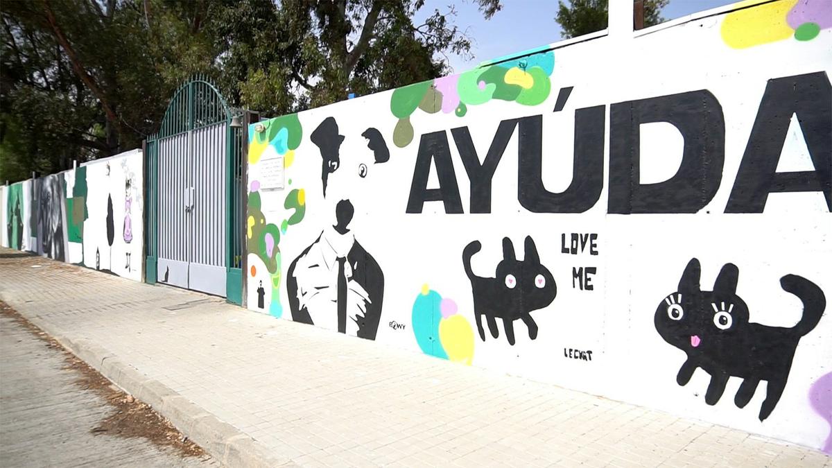 renovando la protectora de animales, muro de entrada, graffiti