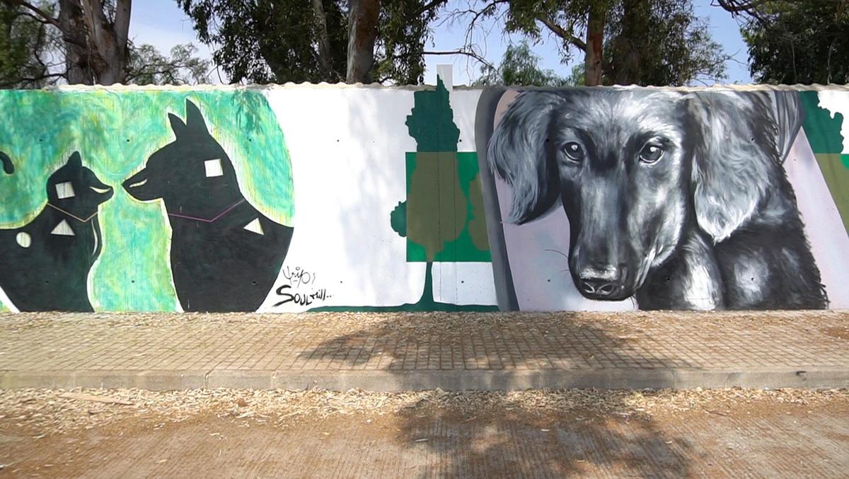 renovando la protectora de animales, muro de entrada, graffiti