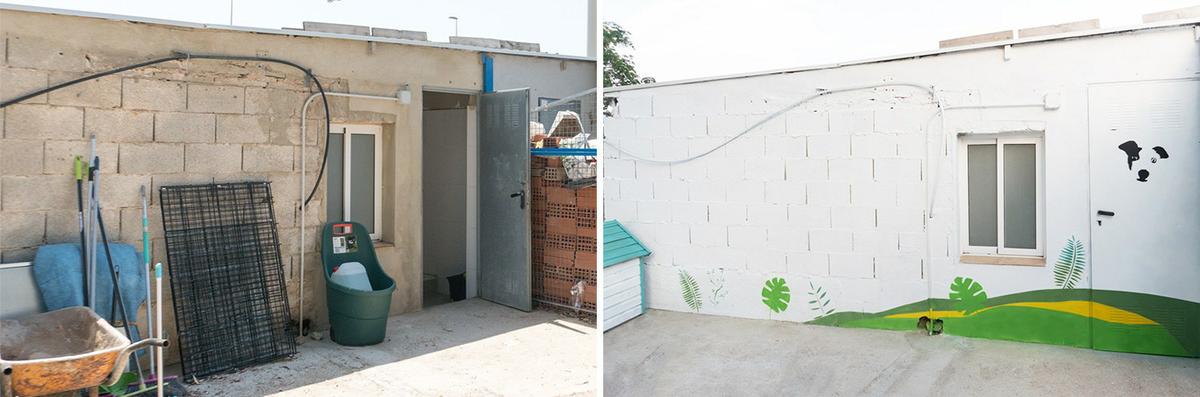 renovando la protectora de animales, acceso renovado con spray