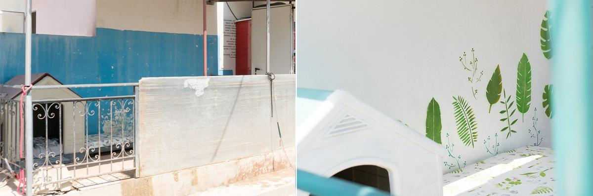 renovando la protectora de animales, el porche de Halo