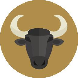 como son los tauro