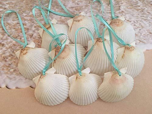 White Glitter Seashell Christmas Ornaments with Turquoise Ribbon, 10