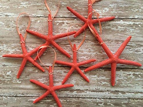Caribbean Coral Starfish Christmas Tree Ornaments, 6
