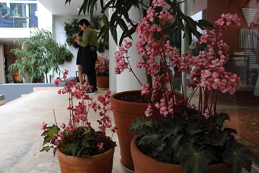 Tips to achieve the dreamed terrace 03