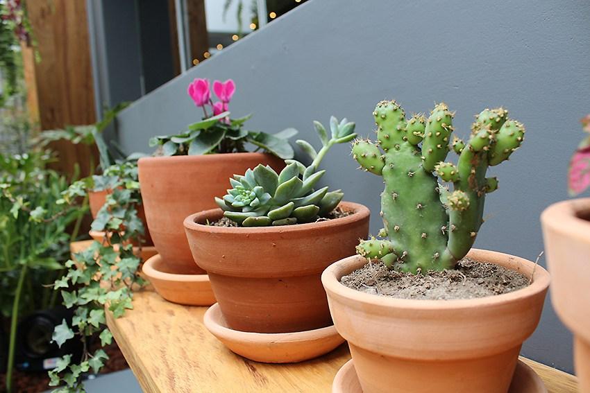 Tips to achieve the dreamed terrace 05