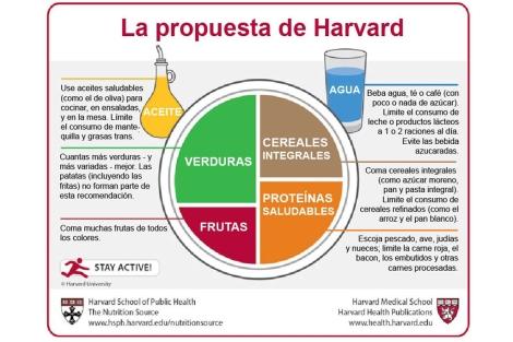 Resultado de imagen de plato saludable harvard