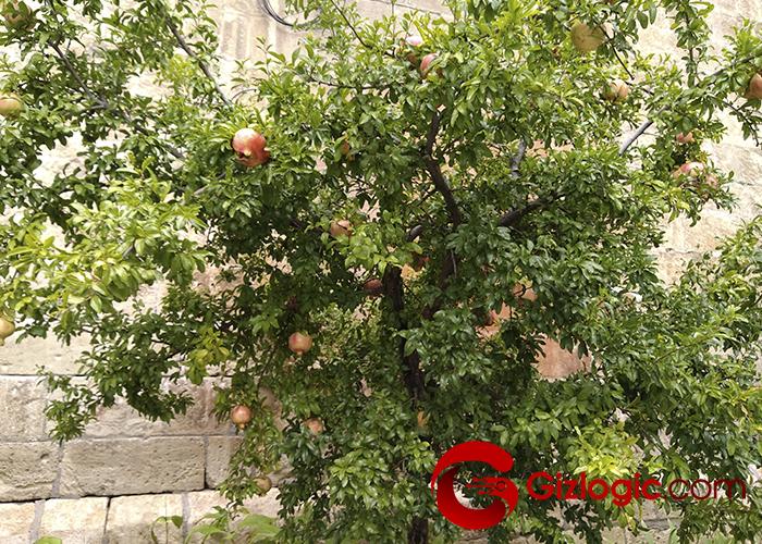 Hisense Infinity H12