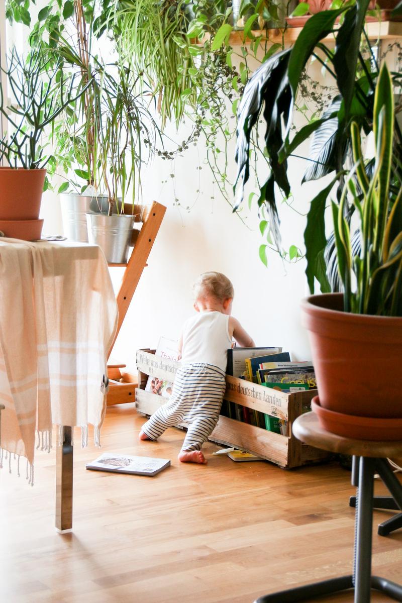 Tipos de librerías para decorar tu casa
