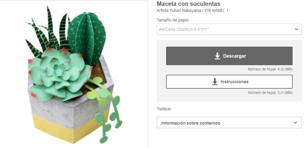 Maceta suculenta diy