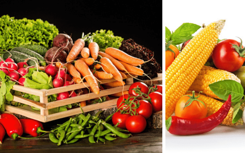 verduras y vegetales en la dieta