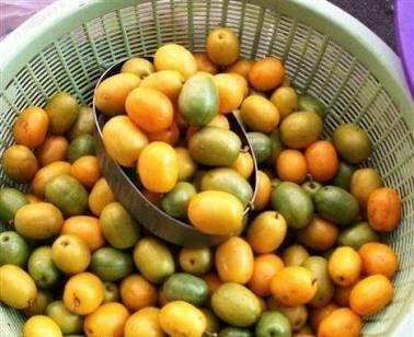 imagen de fruta exotica jobo o ciruela amarilla