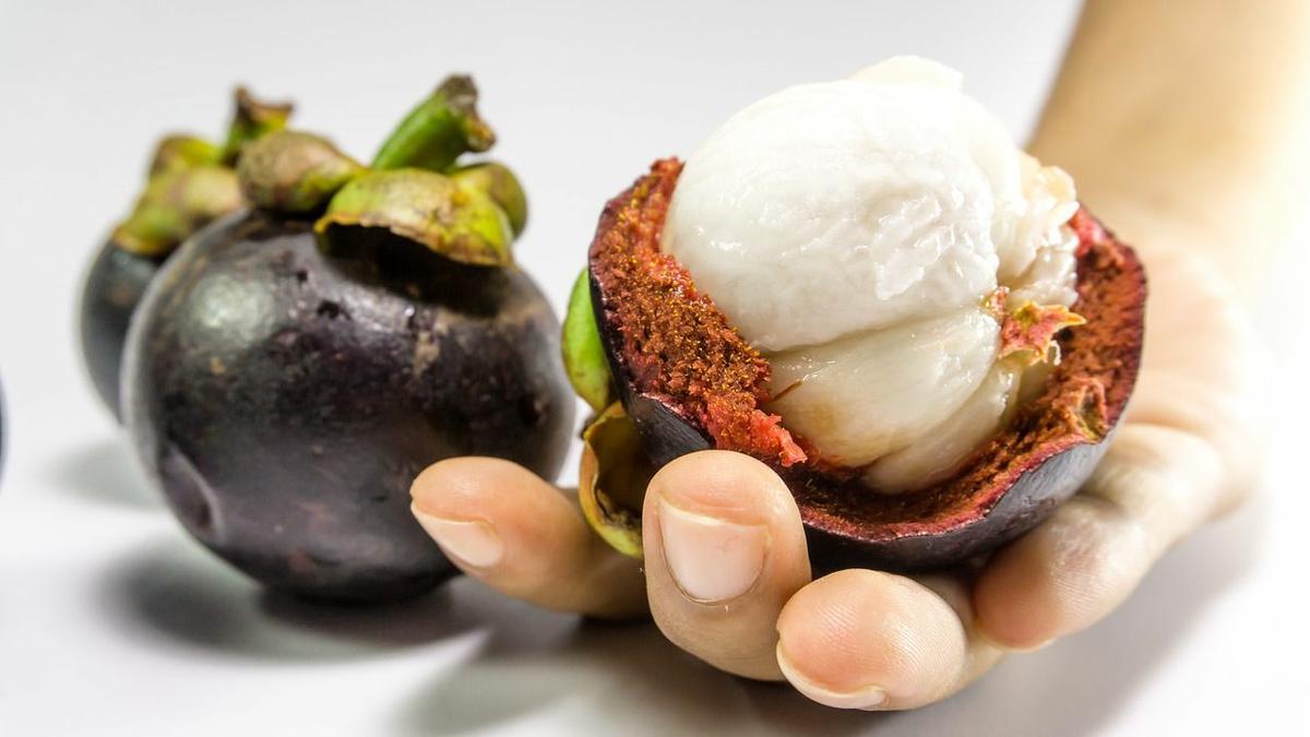 fruta exotica el mangostan
