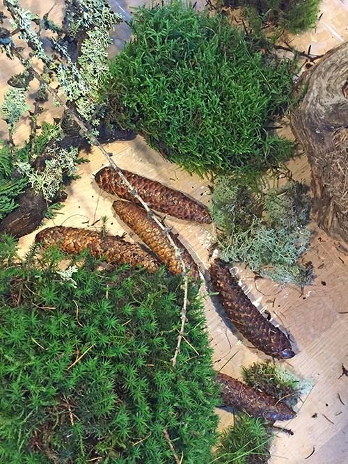 My husband helped to make our Christmas decoration 01