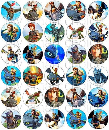 30 x Edible Cupcake Toppers – How to Train Your Dragon Themed Collection of Edible Cake Decorations | Uncut Edible Prints on Wafer Sheet