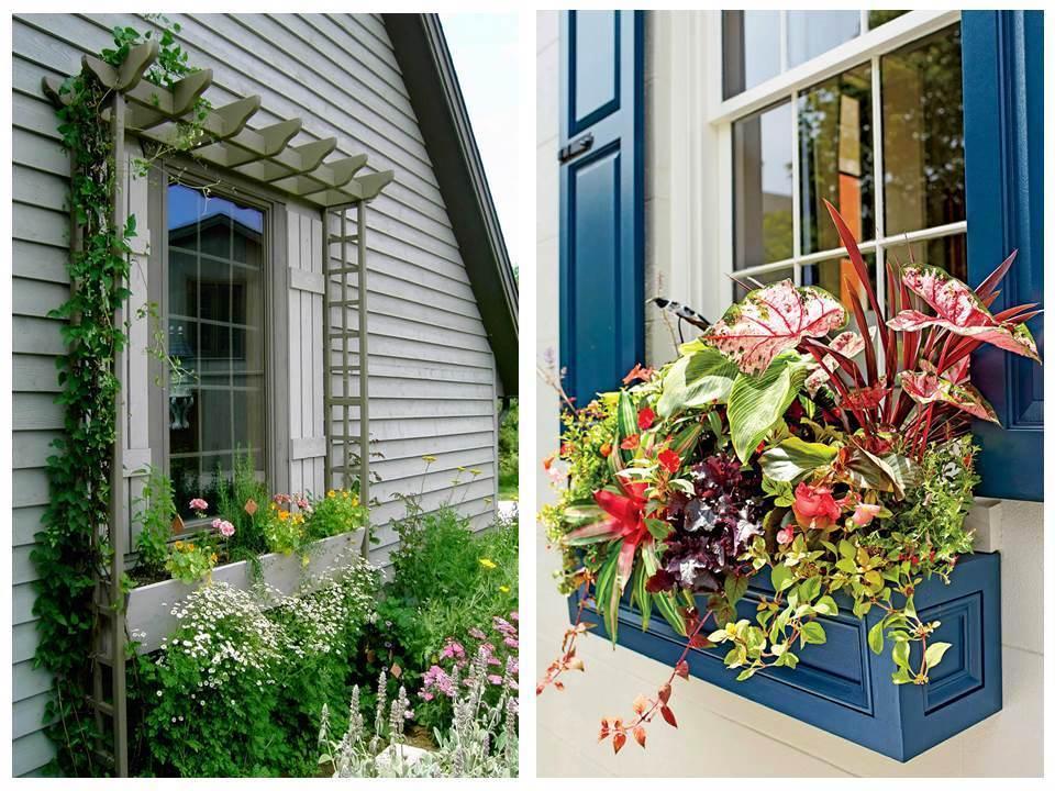 Ideas de jardineras para decorar la casa interior y exterior 