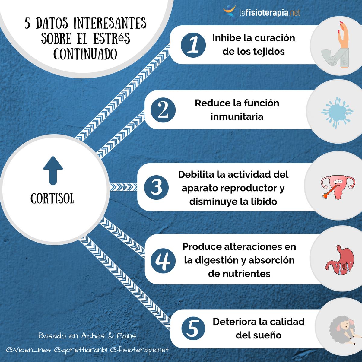 efectos del cortisol en exceso