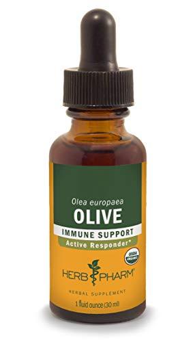 Herb Pharm Certified Organic Olive Leaf Extract for Immune System Support - 1 Ounce