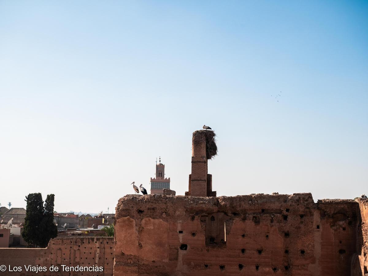 qué ver en marrakech