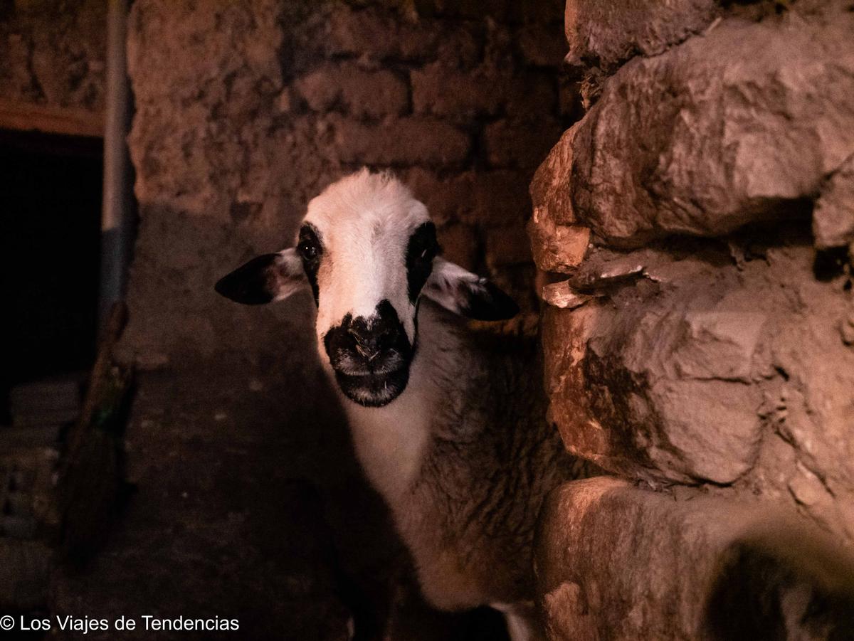 qué ver en marrakech