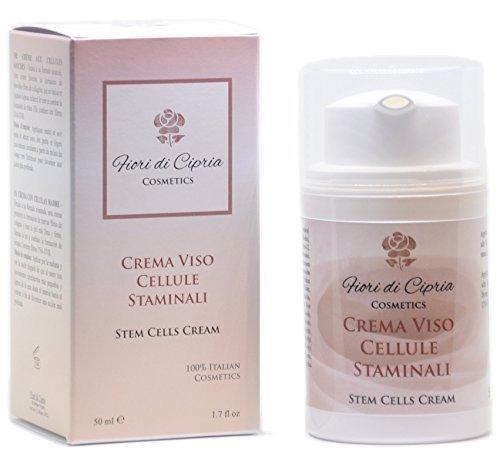 Celulas madre