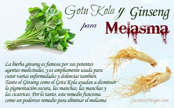 remedios caseros para el melasma - gotu kola y ginseng