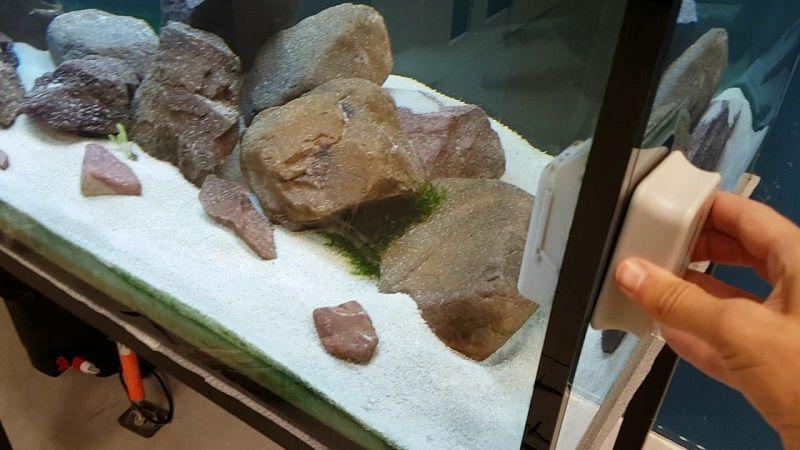 como limpiar un acuario, limpiacristales magnético