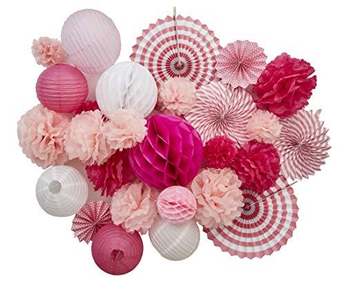 Hey, VALENTINE. 27 pcs Celebration Decoration Kit. Huge and Tiny Tissue Paper Flowers, Pom Poms, Lanterns, Fans. Stylists Favorite