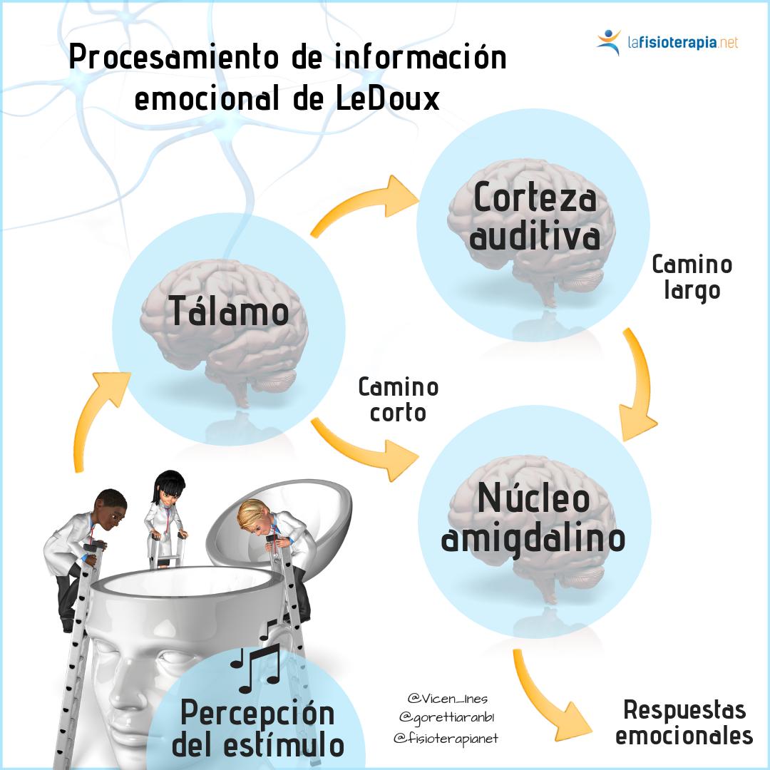 procesamiento de informacion emocional de ledoux