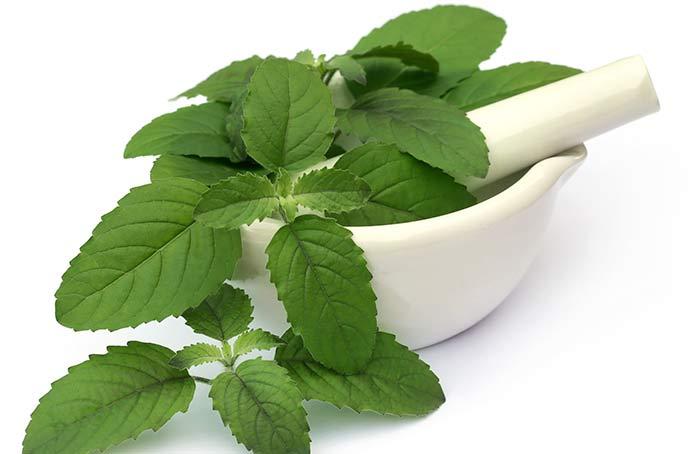 Antiguos secretos de belleza india - Tulsi