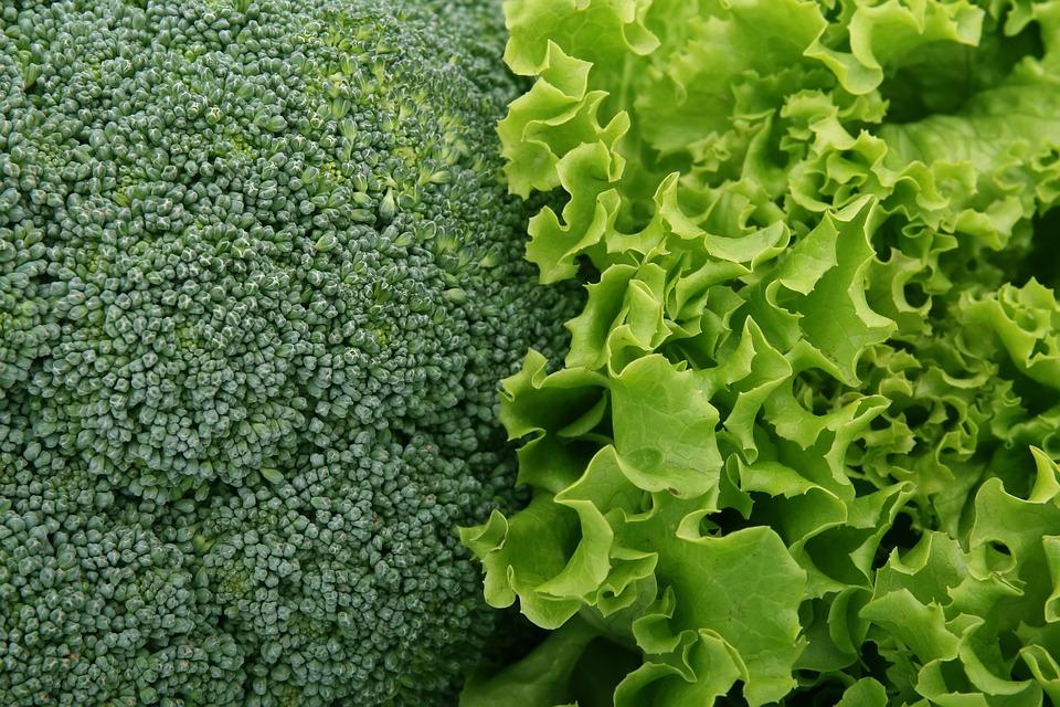 Vitamina k